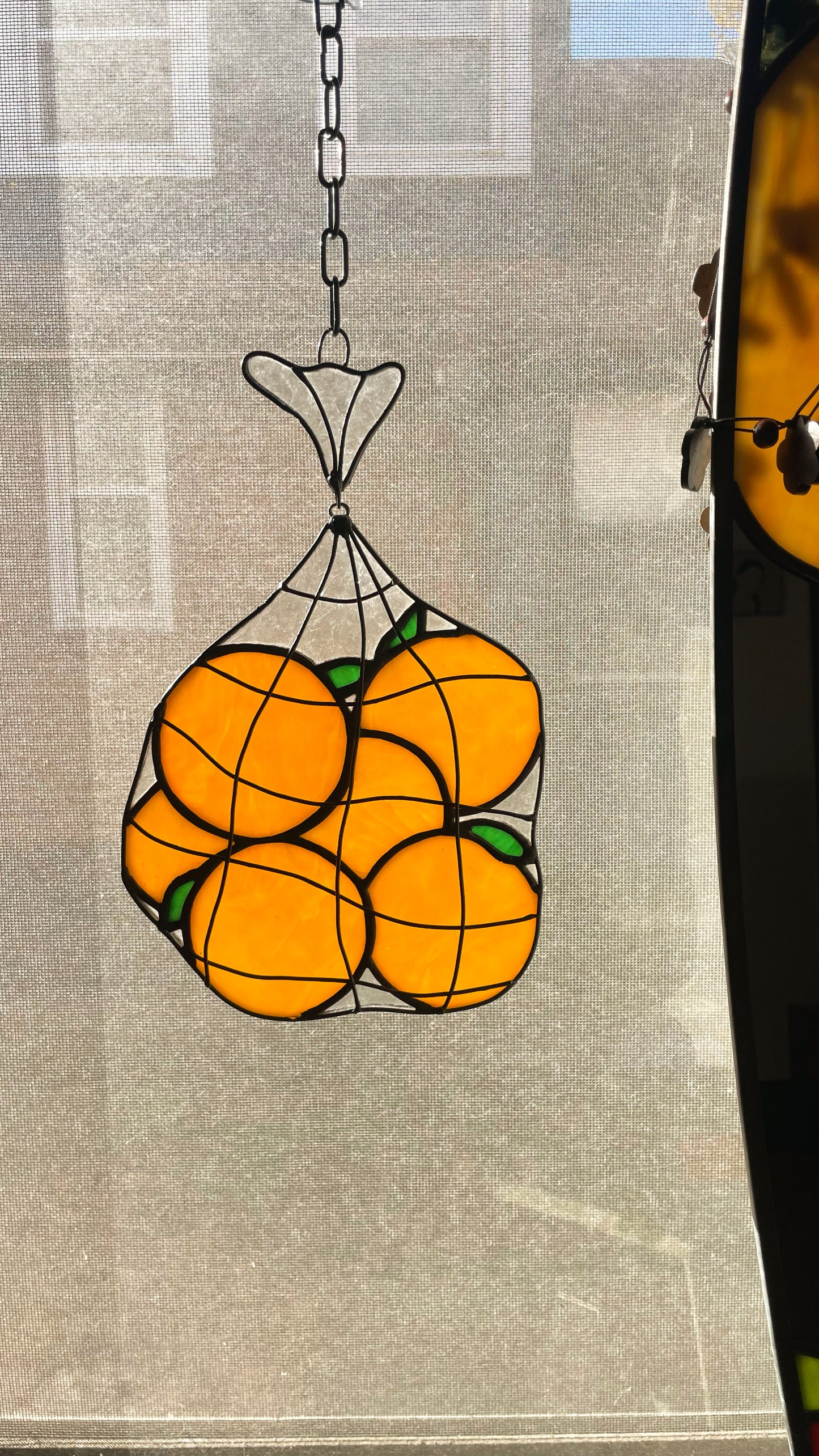 Mesh Bag of Oranges